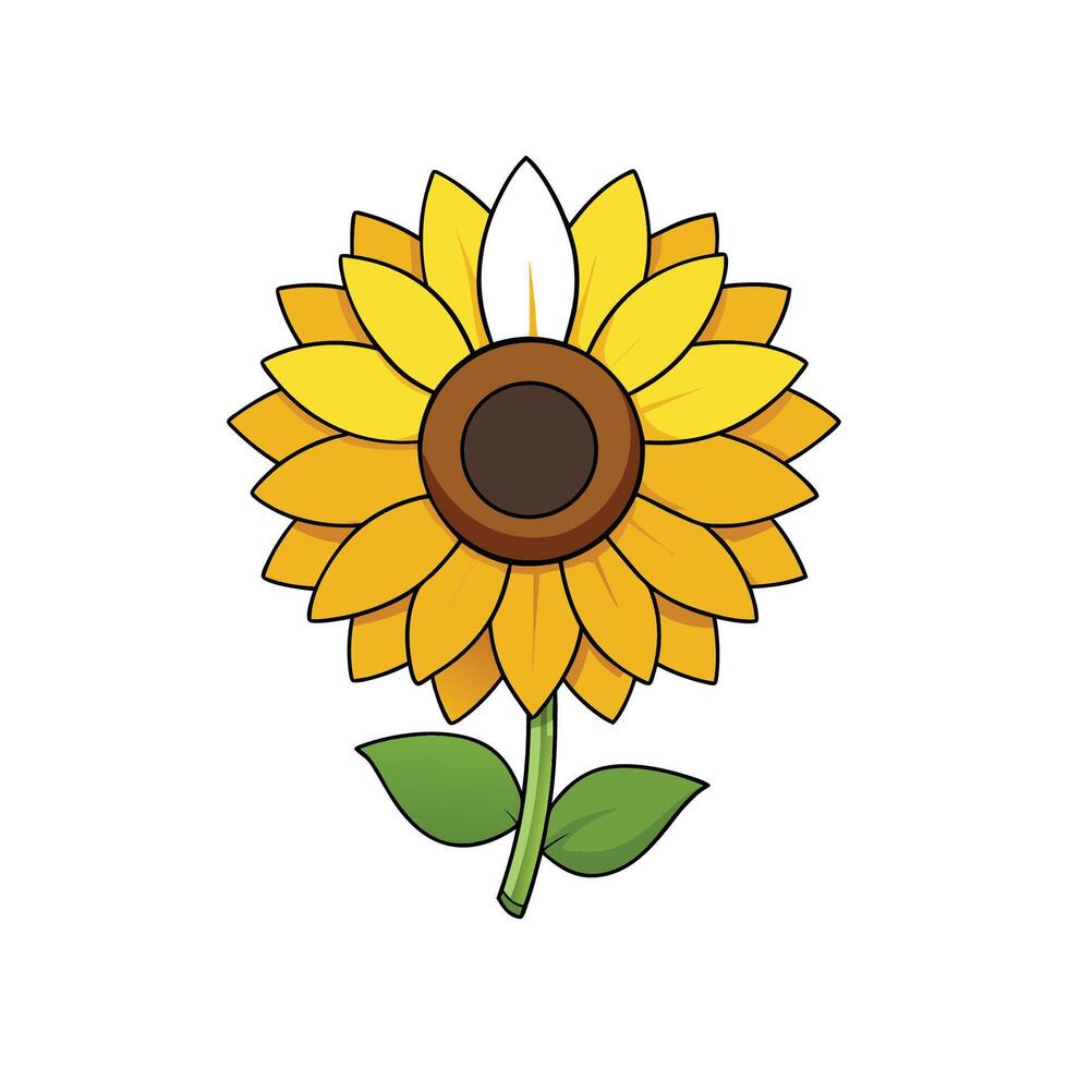 Cartoon sunflower on white background showing plant and growth vector