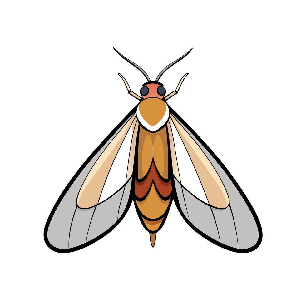 Isolated cartoon moth with tan body and grey wings vector