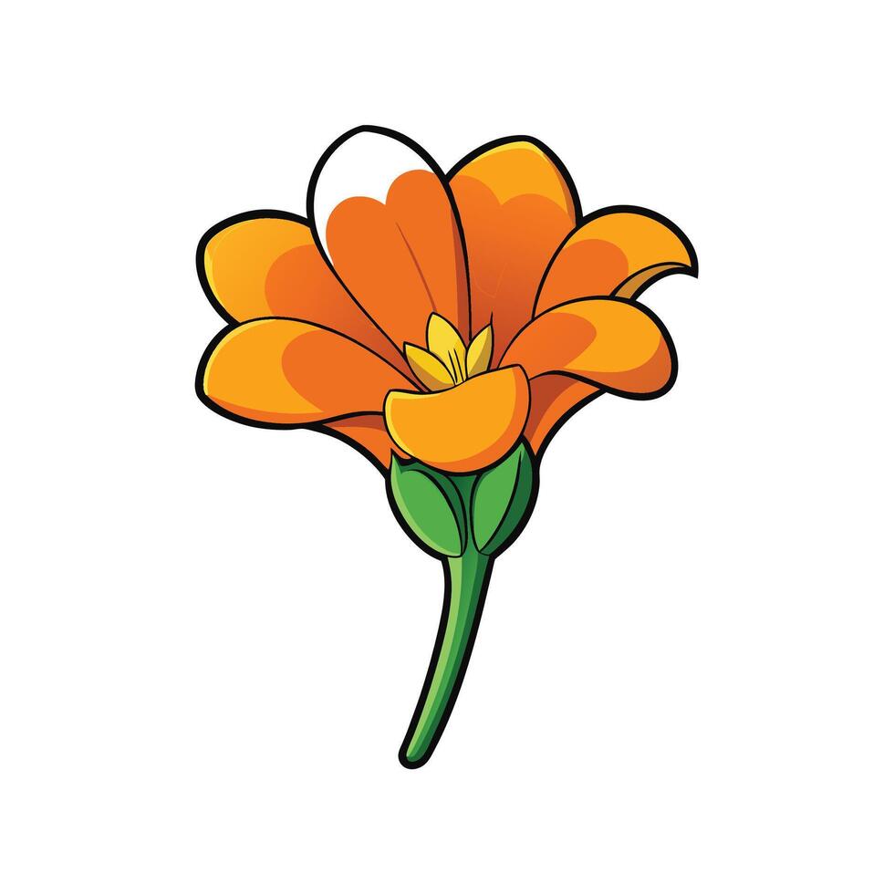 Orange flower illustration with petals and green stem vector
