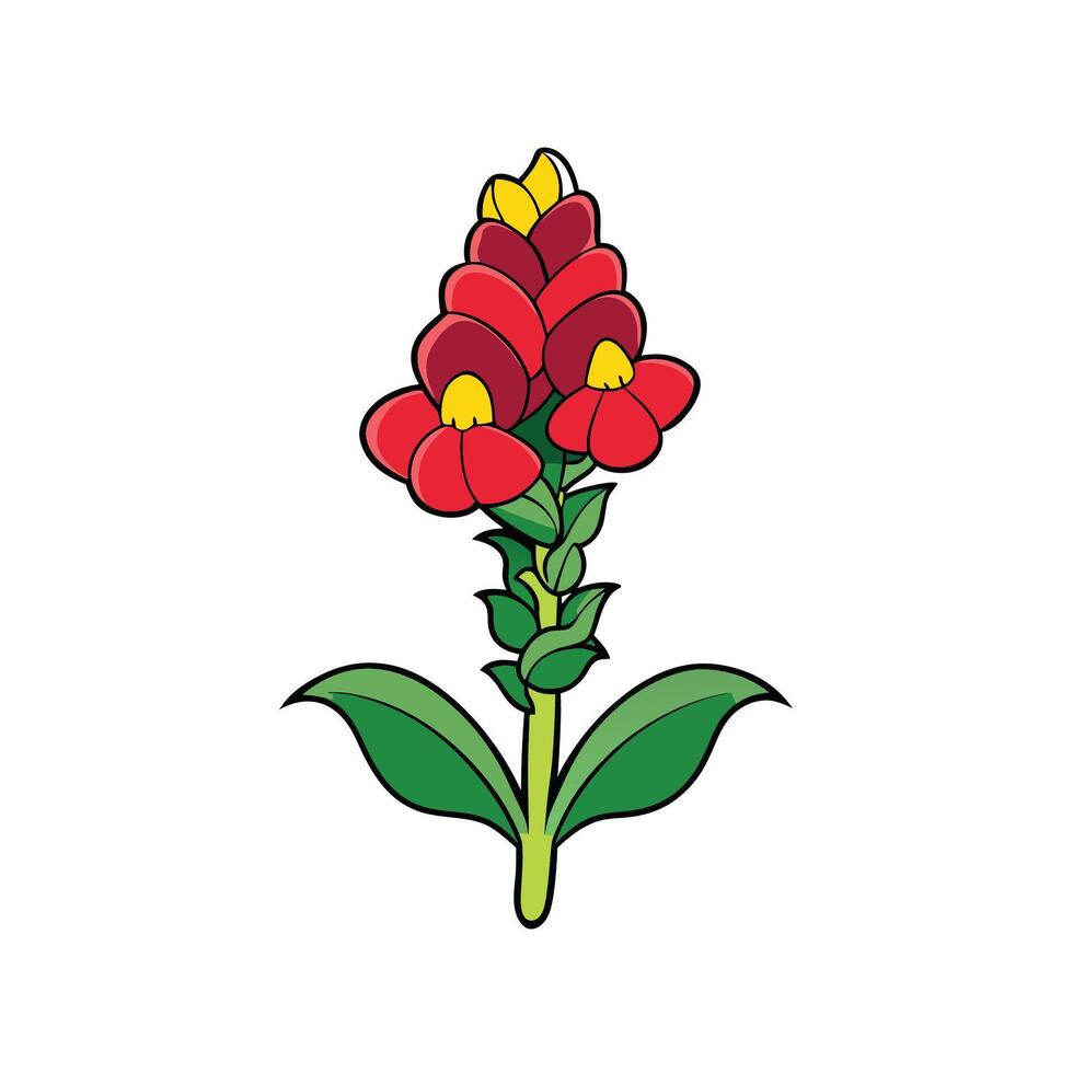 Bright red and yellow ginger flower isolated on white background vector
