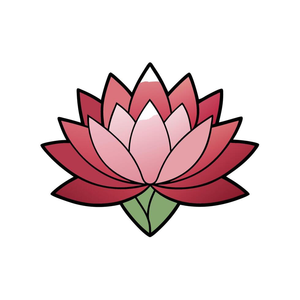 Stylized pink lotus flower blossom, isolated on white background vector