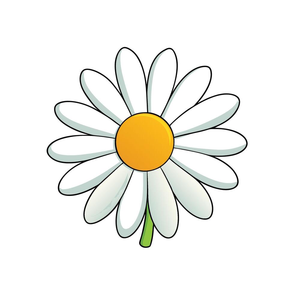 Cartoon daisy flower with white petals and yellow center. vector