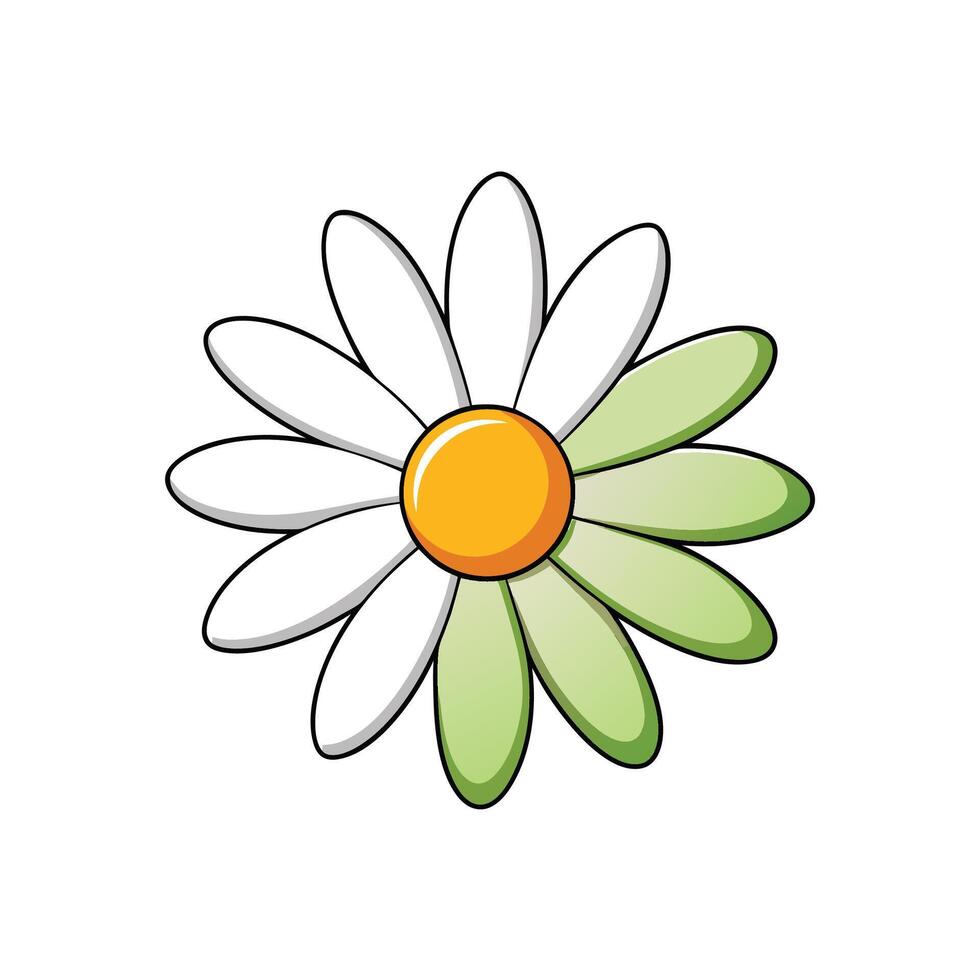 Cartoon daisy flower illustration with white and green petals vector