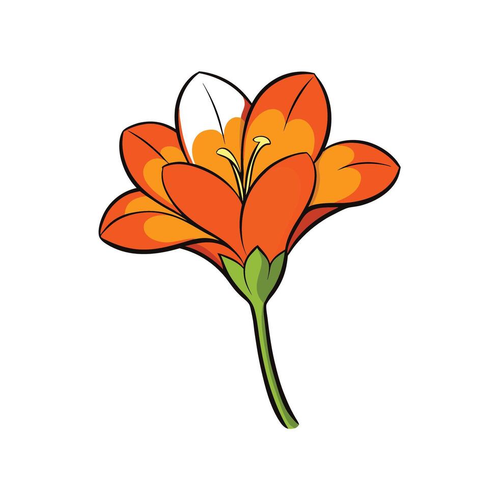 Orange flower on white background, isolated illustration vector