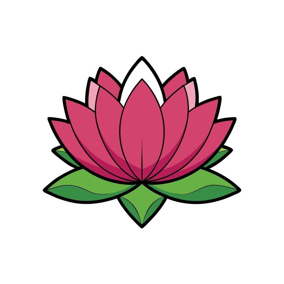 Pink lotus flower illustration with black outline and green leaves vector