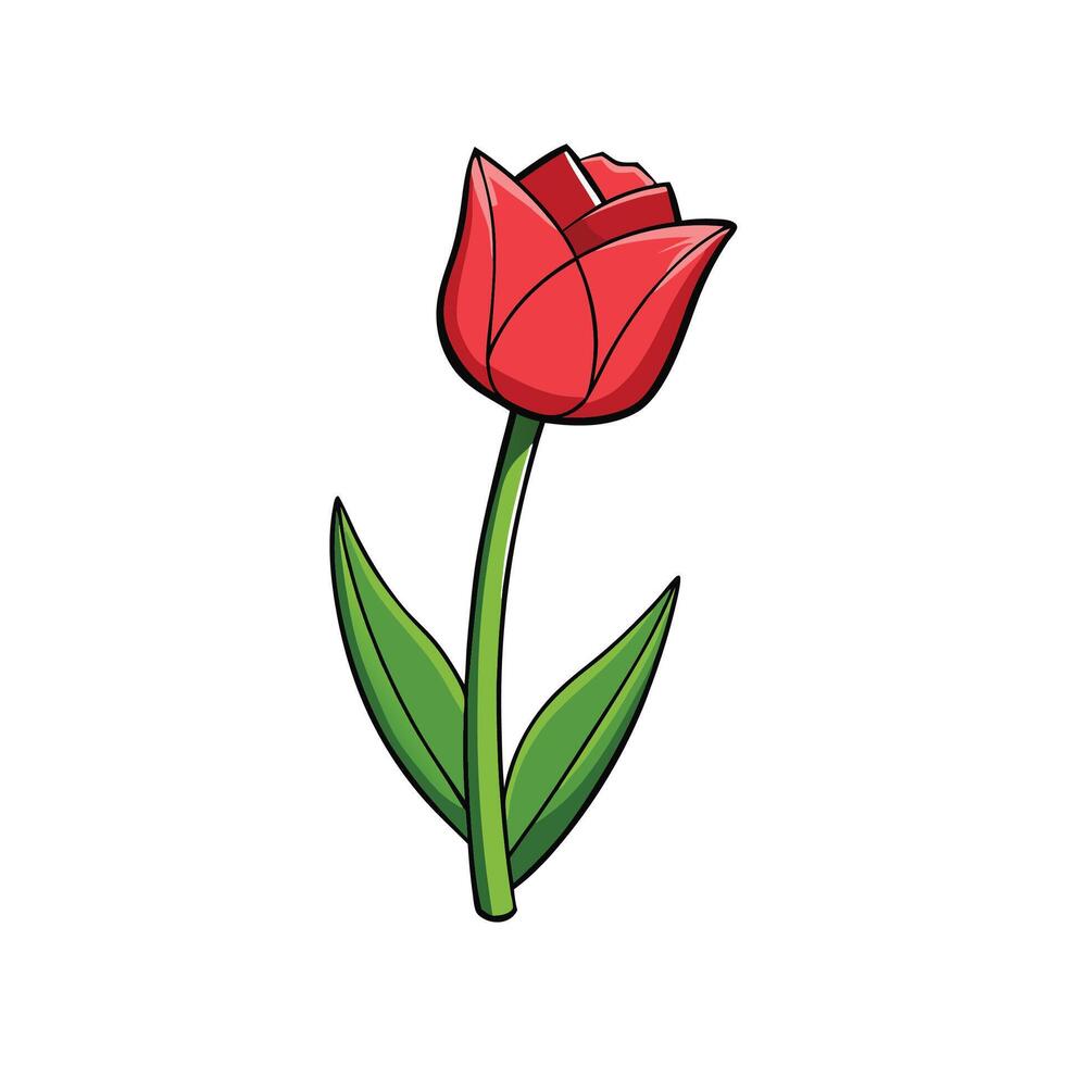 Illustration of a bright red tulip flower with green stem vector