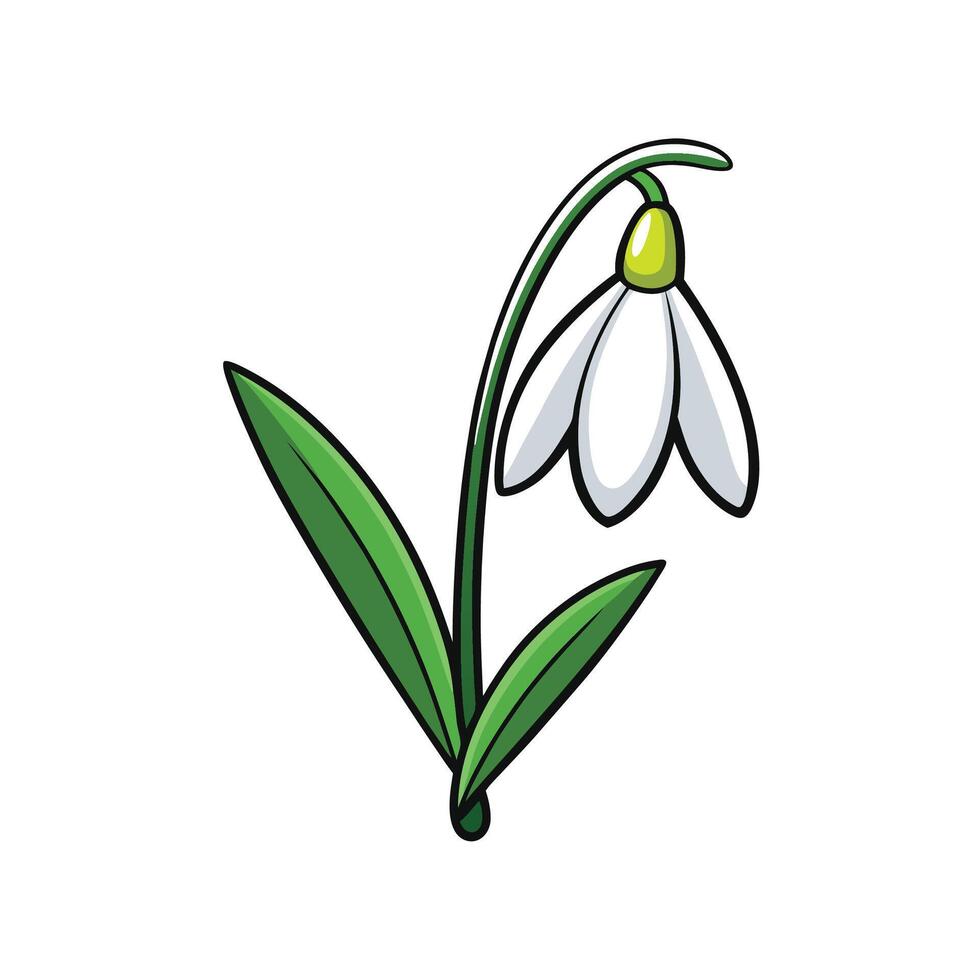 Cartoon Snowdrop Flower on White Background, Spring Icon vector