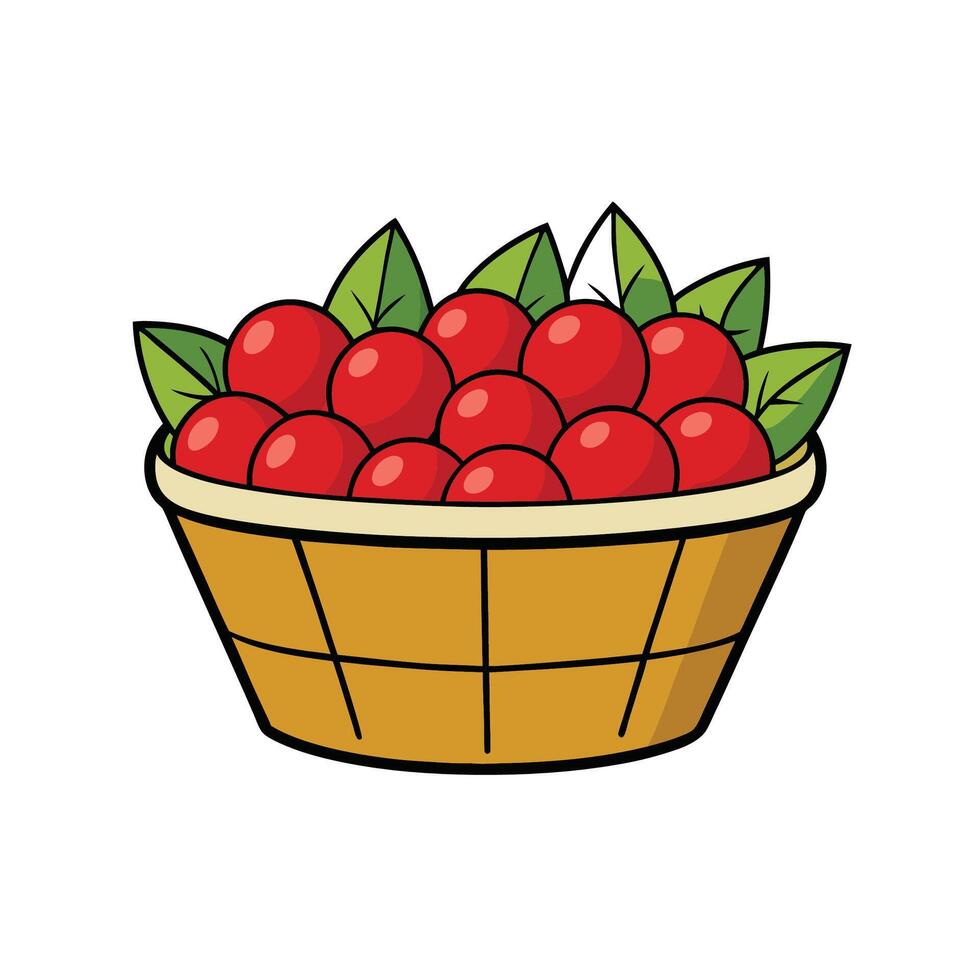 Basket overflowing with shiny red cherries and green leaves vector