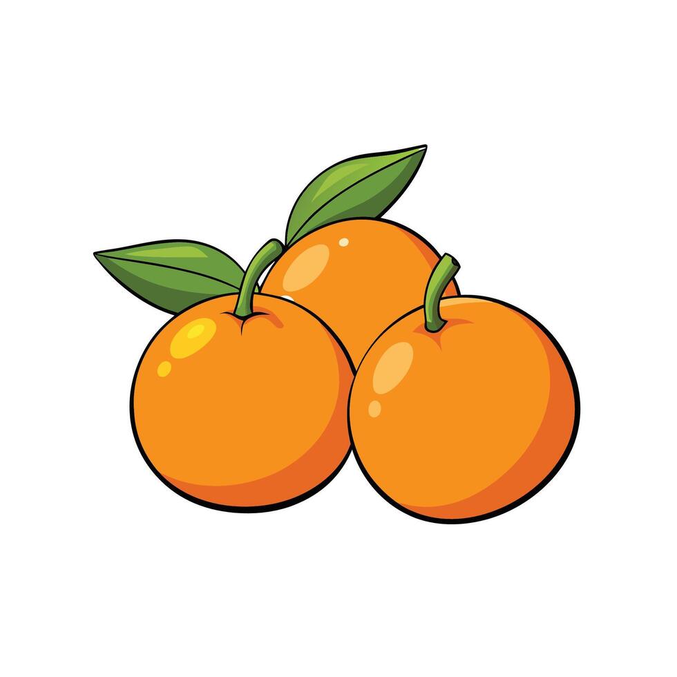Three oranges with leaves illustration isolated on white background vector