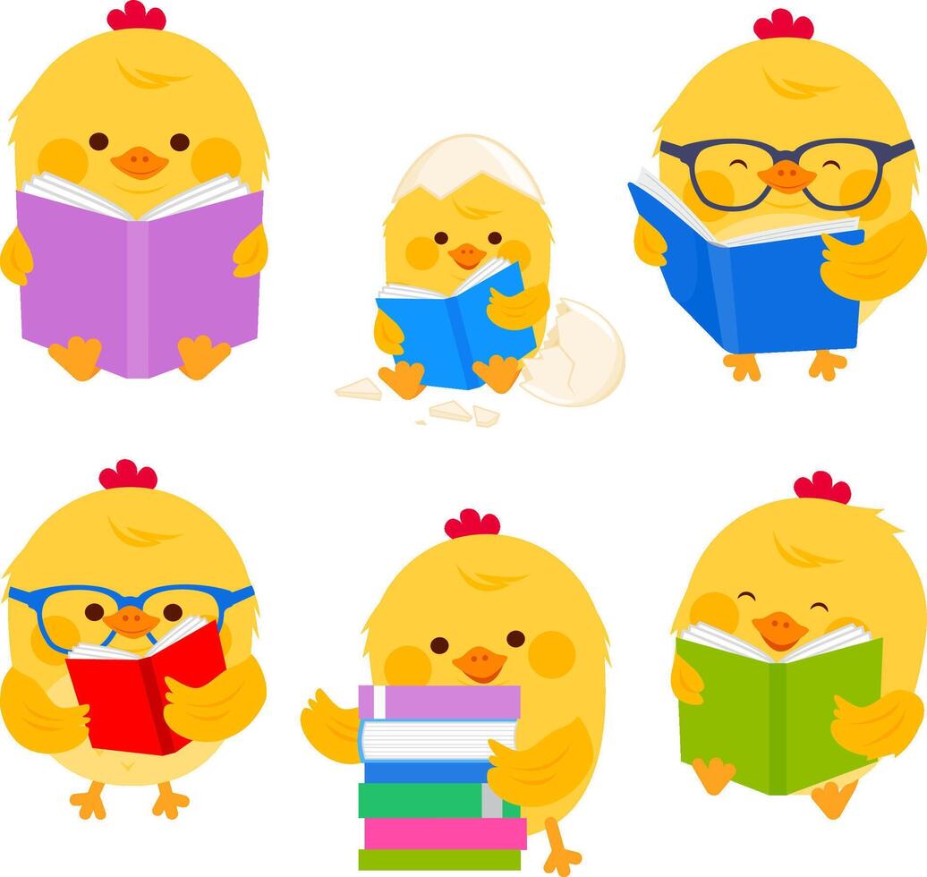 Cute chicken birds reading books. Little students study at school, kindergarten or preschool. Cute smart pets, farm animals. vector