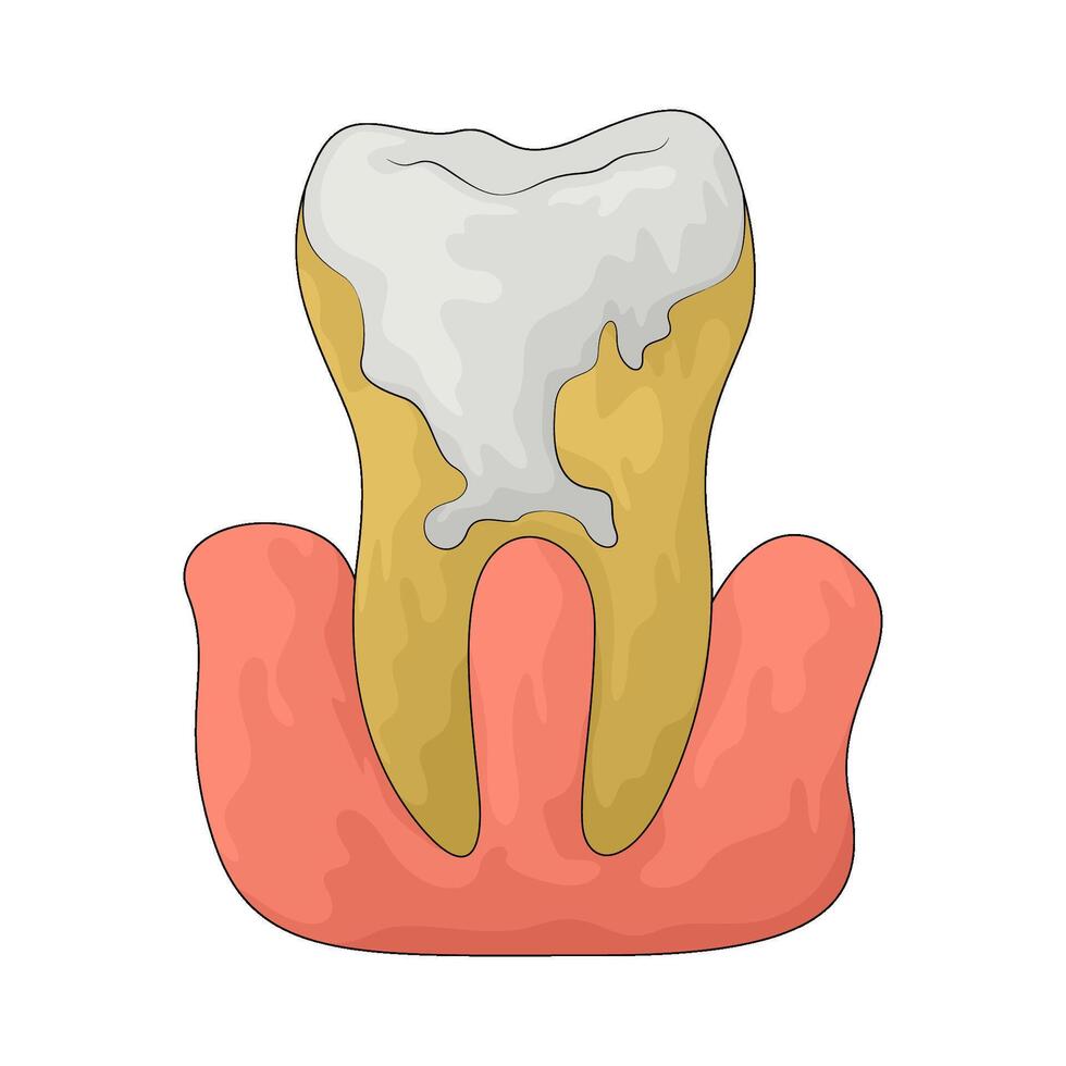 illustration of tartar vector