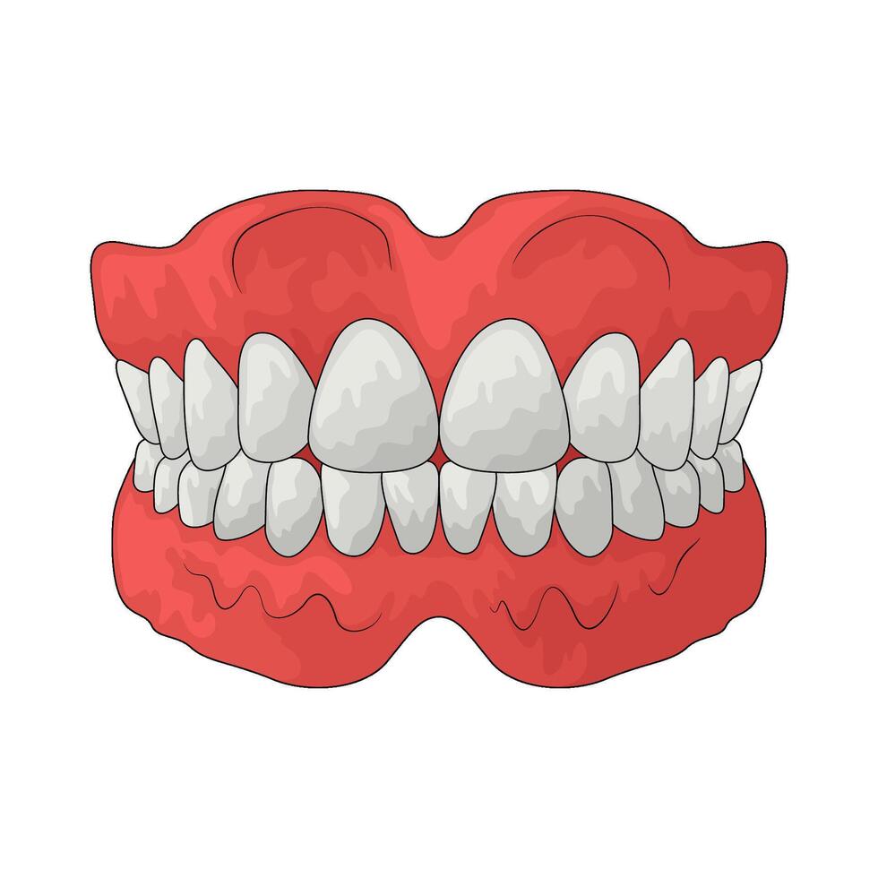 illustration of denture vector