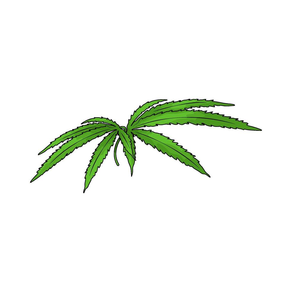 Cannabis leaf illustration vector