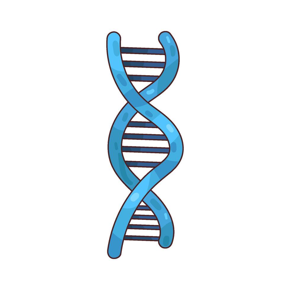 illustration of a human dna helix vector