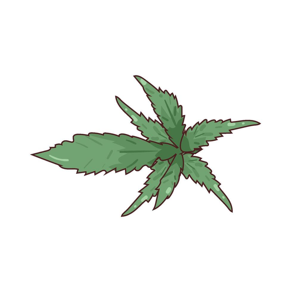illustration of cannabis leaf vector