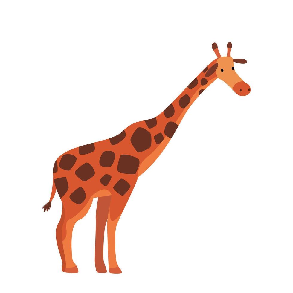 Cute Giraffe Jungle Animal, Side View, African Safari Travel Cartoon Illustration on White Background vector