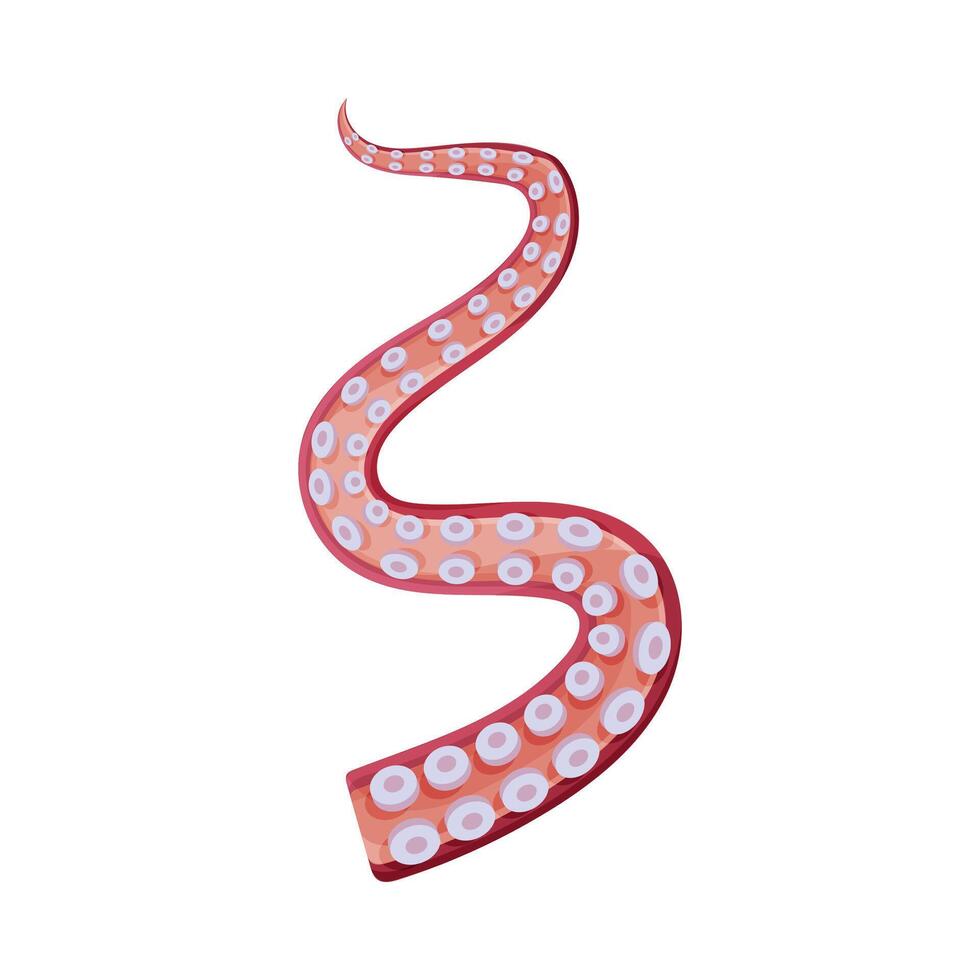 Octopus Tentacle, Underwater Marine Creature Body Part Illustration vector