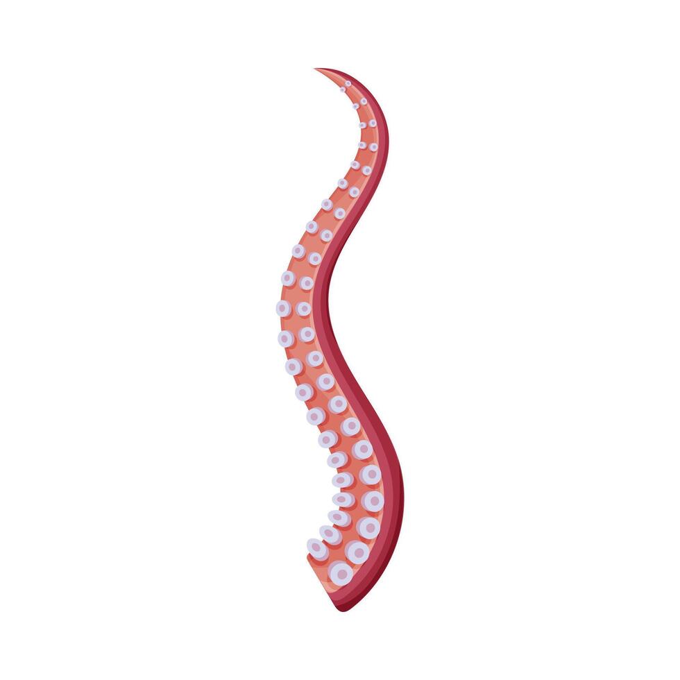 Octopus or Squid Tentacle, Underwater Marine Creature Part of Body Illustration vector