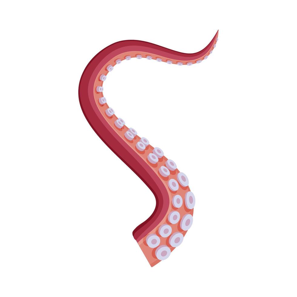 Octopus or Squid Tentacle, Underwater Marine Animal Part of Body Illustration vector