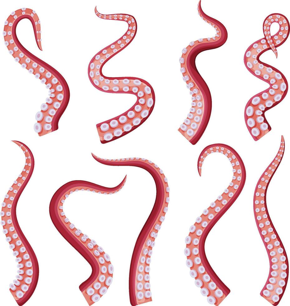 Octopus Tentacles Collection, Underwater Marine Creature Part of Body Illustration vector