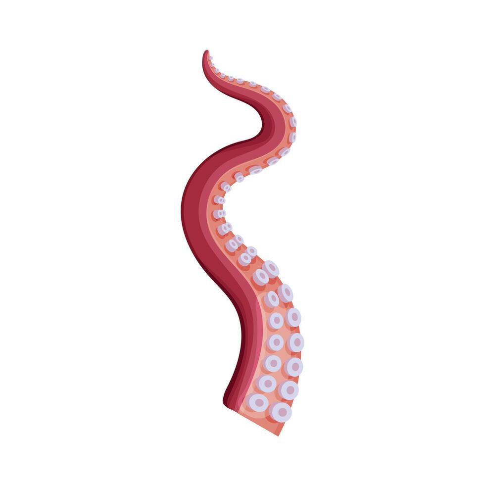 Octopus Tentacle, Seafood, Marine Creature Body Part Illustration vector
