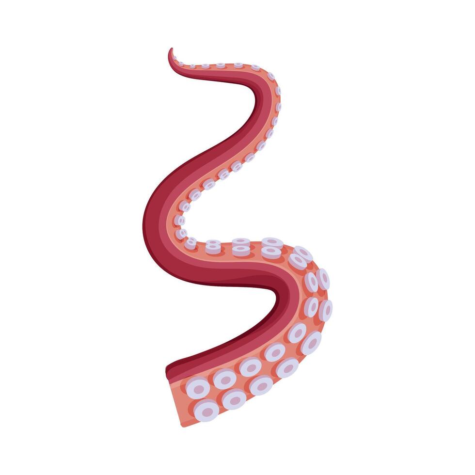 Octopus Spiral Tentacle, Seafood, Marine Creature Body Part Illustration vector