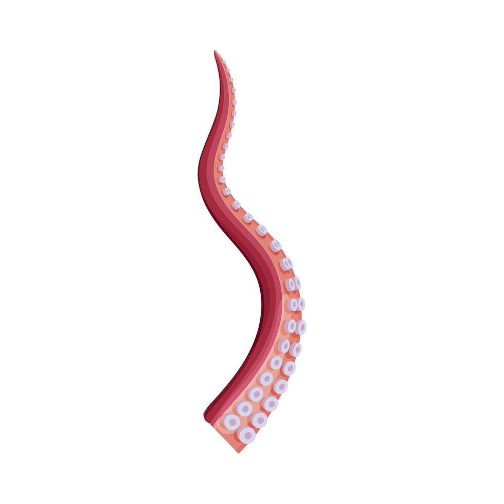 Underwater Marine Creature Body Part, Octopus Tentacle Illustration vector