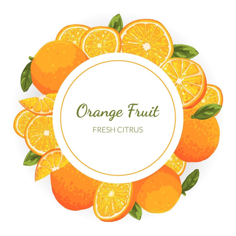 Orange Fruit Banner Template, Fresh Citrus Fruits of Circular Shape Illustration vector