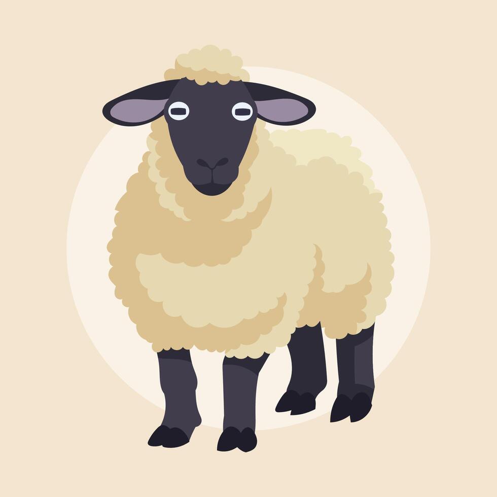 A fluffy sheep with a dark face stands calmly vector