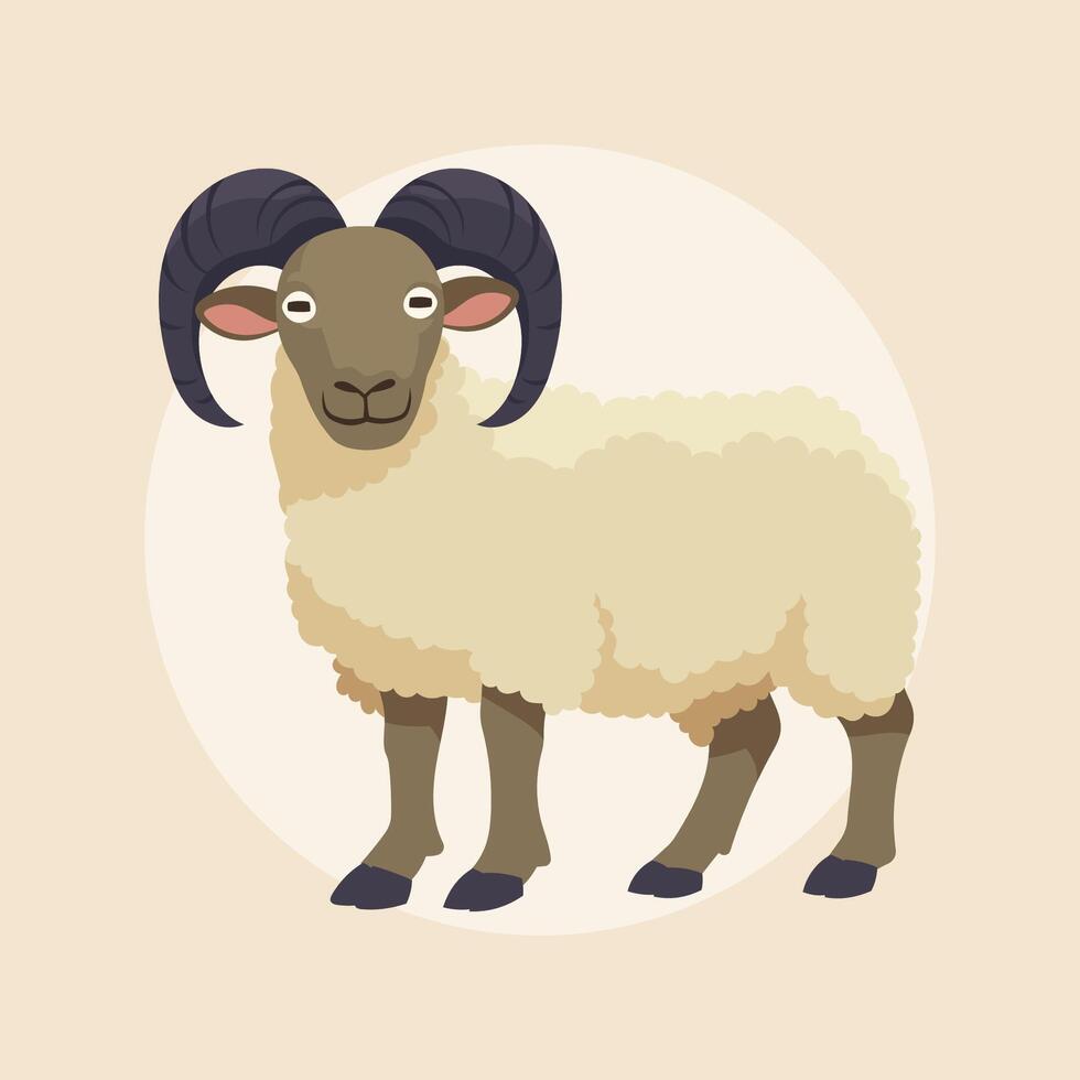 A ram with large dark horns and fluffy light beige wool stands proudly vector