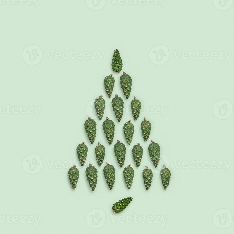 Fir tree from natural green pine cones on pastel green paper, minimal style. Christmas and New Year Holiday symbol photo