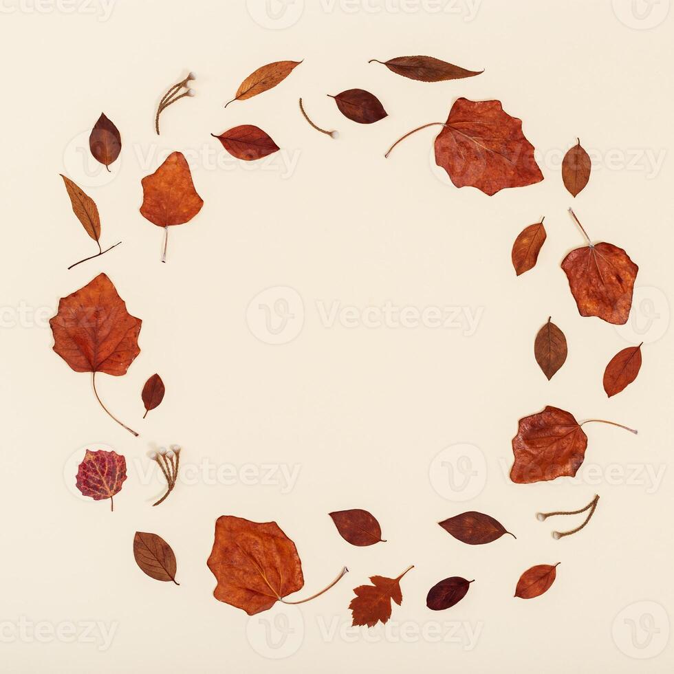 Autumn round frame from colorful autumn leaves on neutral beige background with copy space. Fall time concept. photo