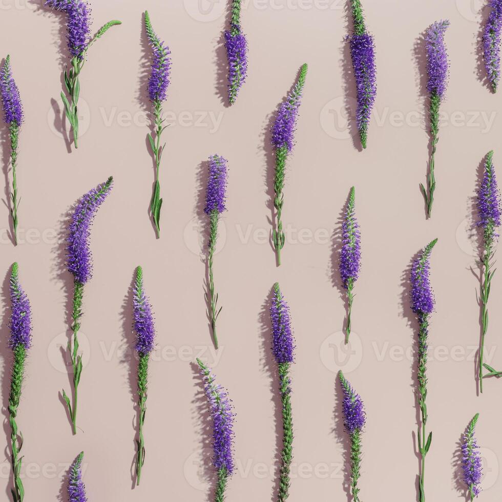 Natural blooming Purple close up flowers as trend linear pattern on pale pink light background, minimal trend aesthetic floral overview photo. Beautiful nature still life with wildflowers Veronica photo