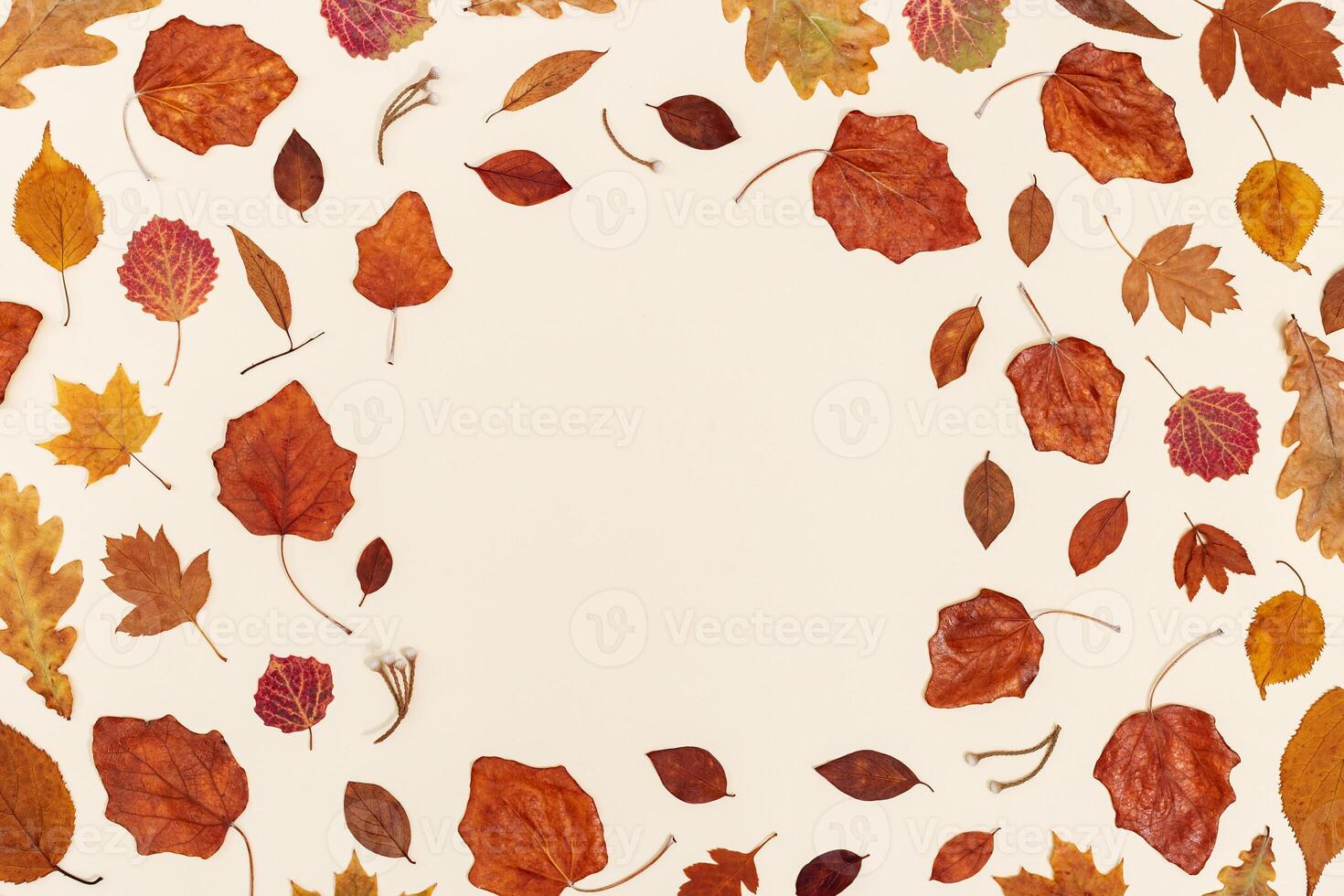 Autumn leaves layout on neutral beige background with copy space. Natural frame from dry leaf in autumn season photo