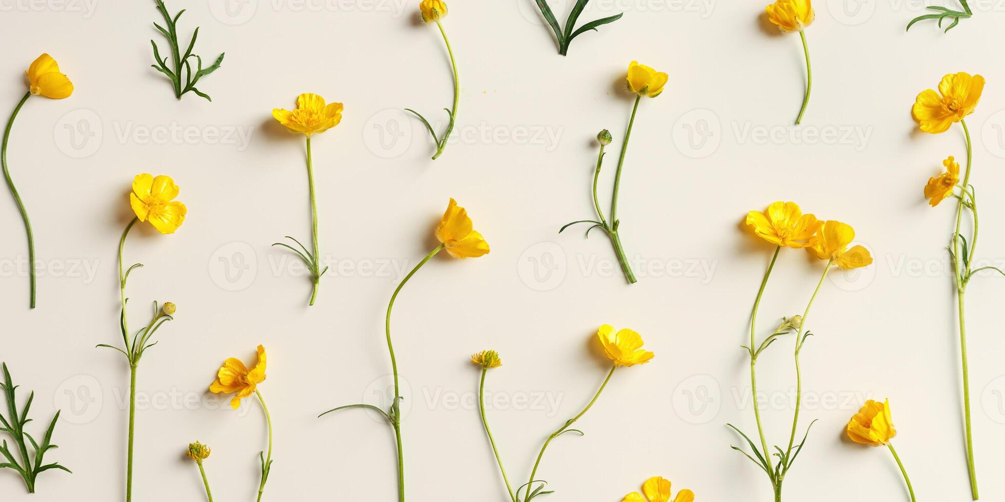 Top view pattern of natural Yellow meadow flower with green leaf on pastel beige, floral blossoms background, minimal style flat lay. Beautiful nature delicate wild flowers, summer flowery concept photo