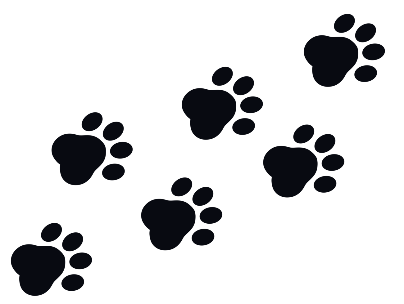 cat paw print pattern png