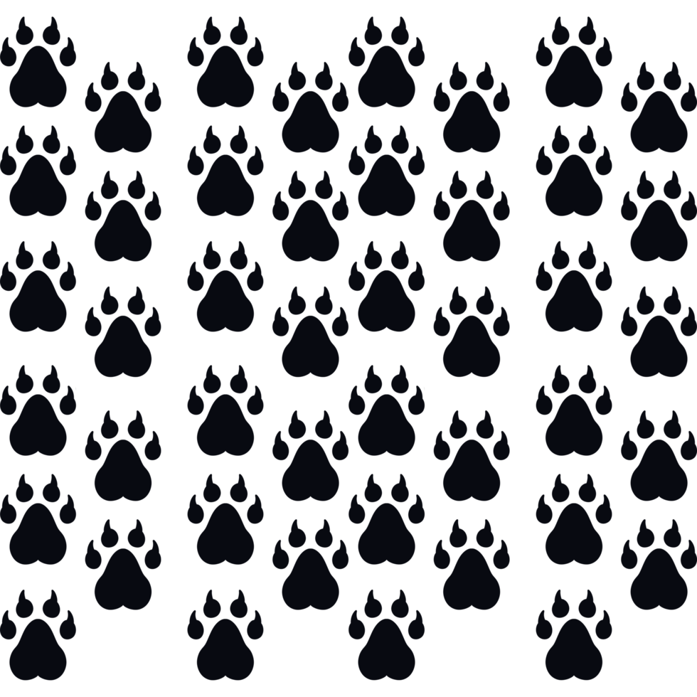 bear footprints pattern png