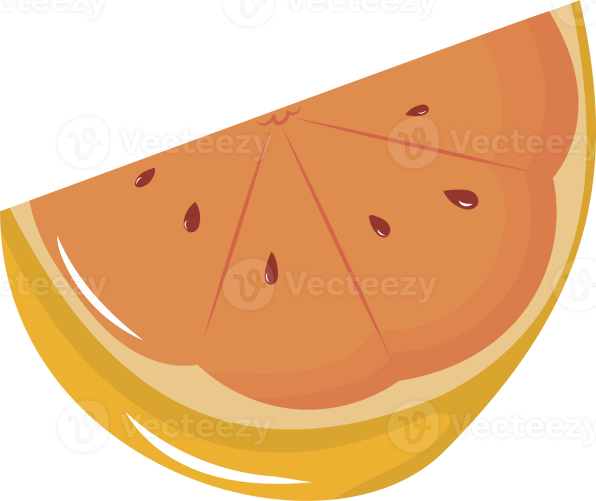 Illustration of a Fresh Orange Slice png