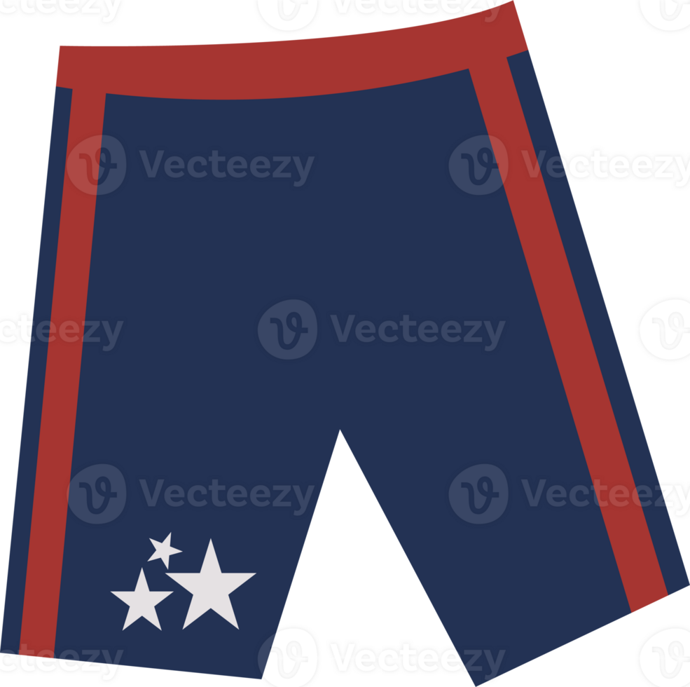 Illustration of Navy Blue Sports Shorts png
