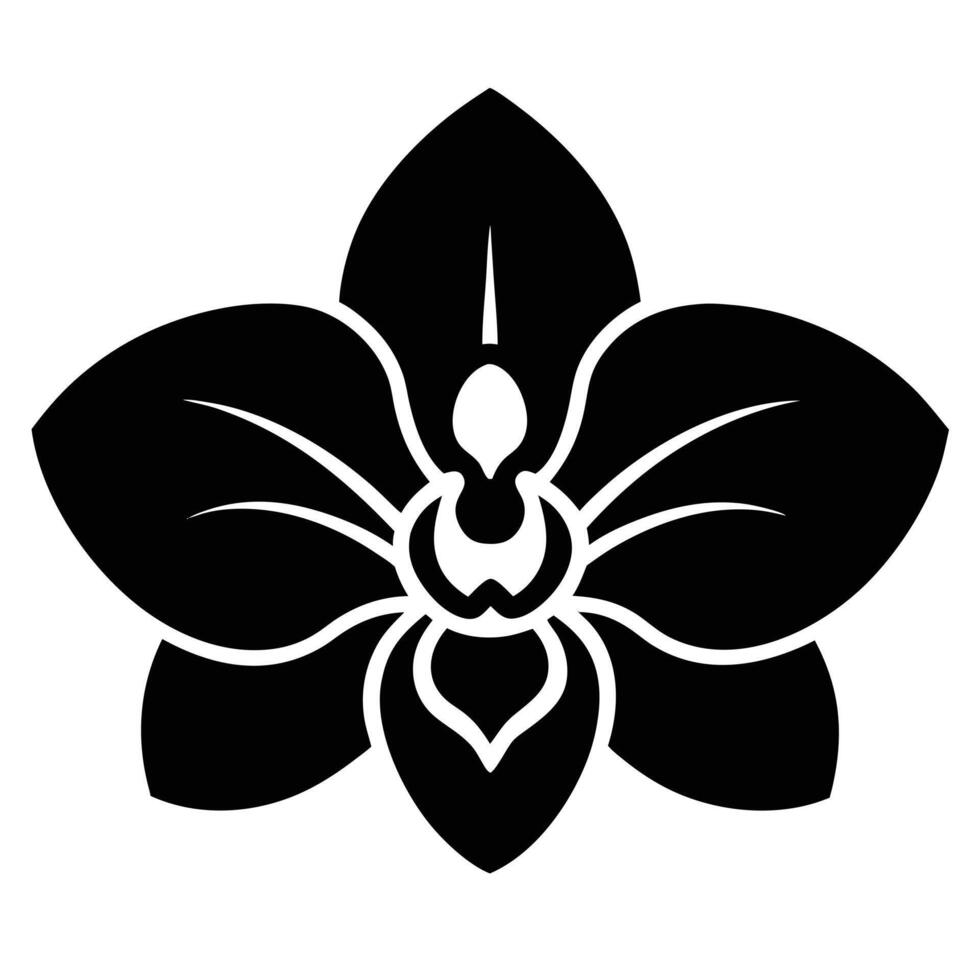 A delicate orchid flower Adobe Illustrator Artwork vector
