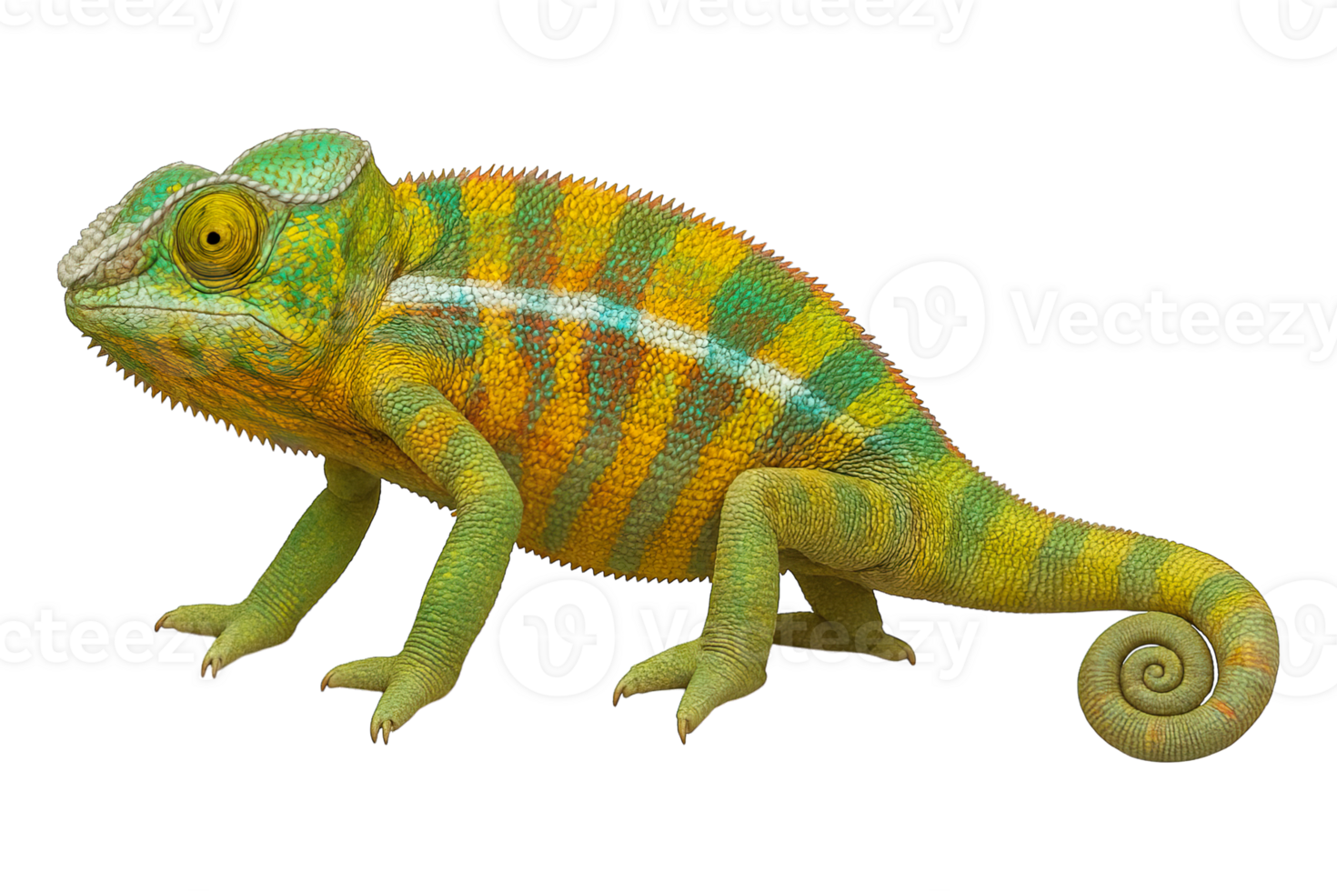 Colorful Chameleon Side View Isolated on Transparent Background, png