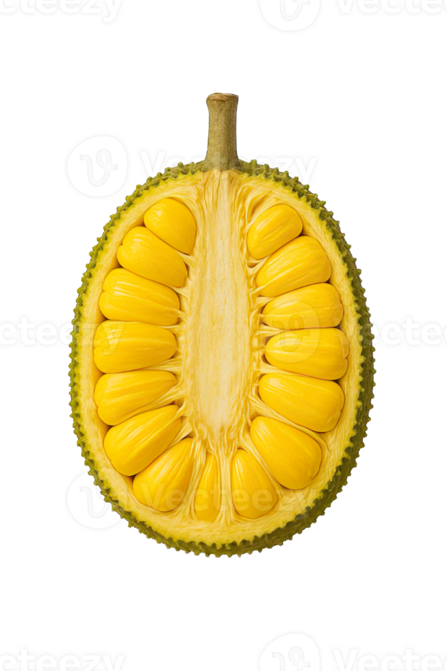 Half Jackfruit with Yellow Pods Isolated on Transparent Background, png