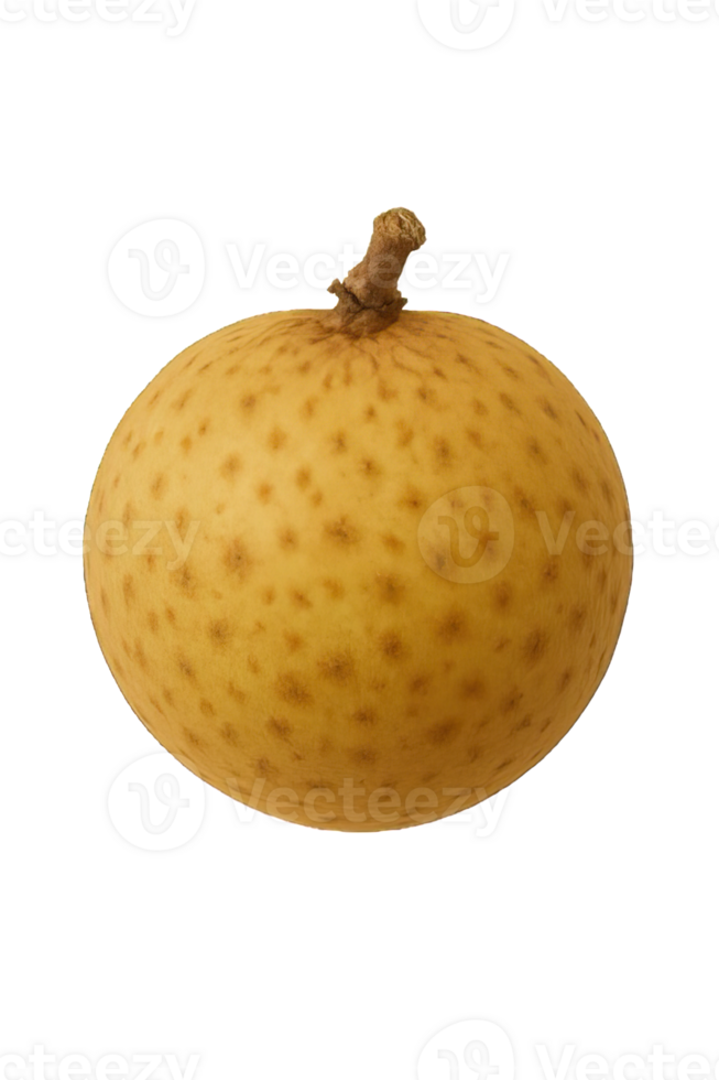 Whole Langsat Fruit Isolated on Transparent Background, png