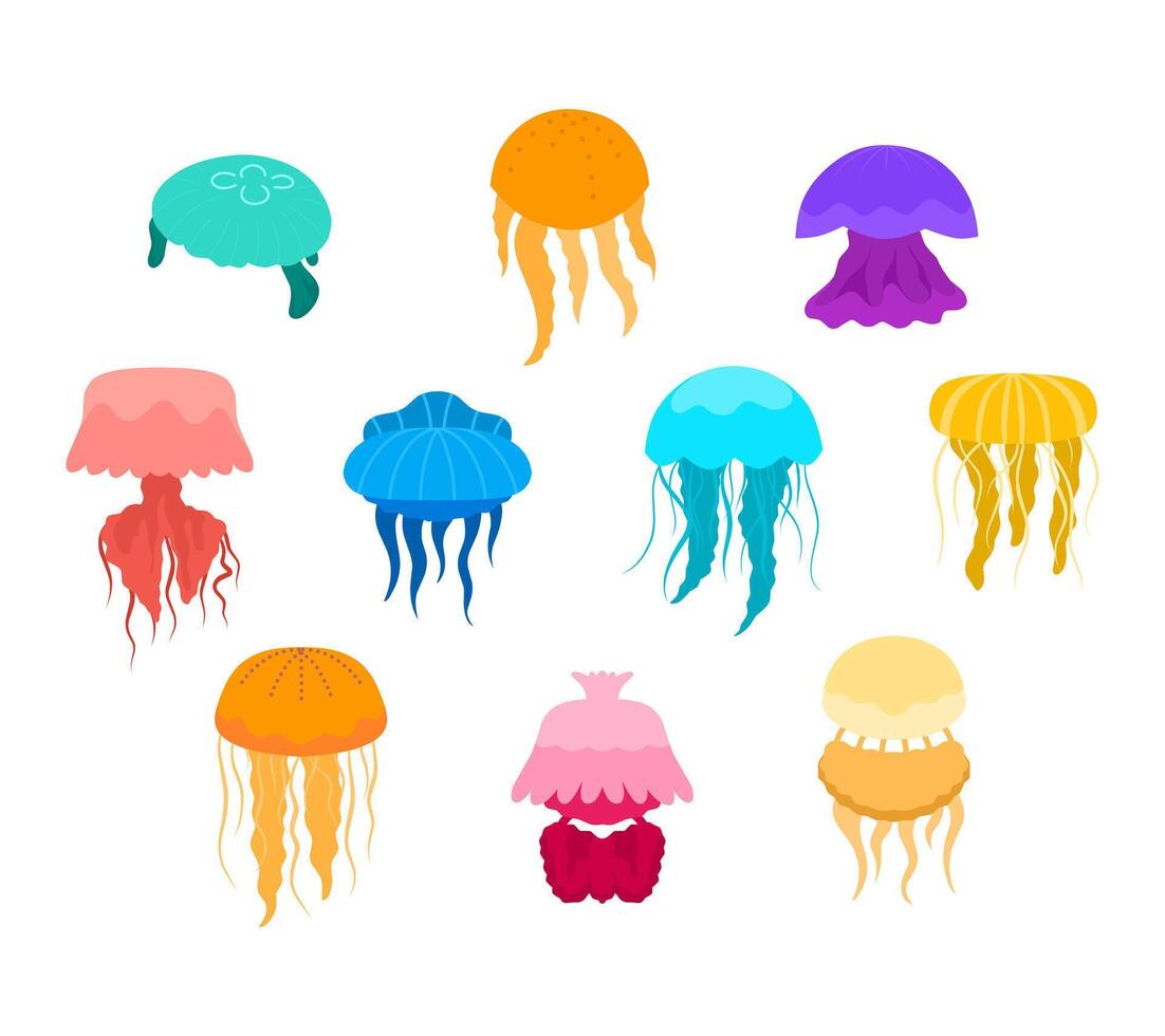 A vibrant collection of sea jellyfish clipart featuring various jellyfish species with flowing tentacles for ocean themed projects, educational materials, marine biology visuals, and children vector