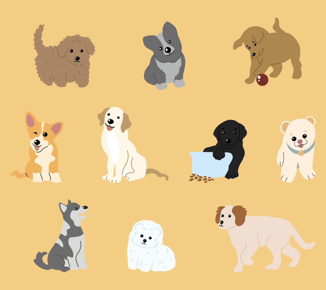 A charming collection of cute dog breed illustrations featuring popular pets in playful and friendly poses. Ideal for pet themed designs, educational materials, stickers, and animal lover projects. vector