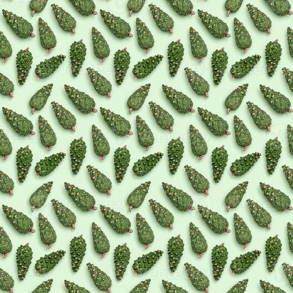 Seamless pattern from natural green pine cones on pastel green paper. Christmas and New Year Holiday nature background photo