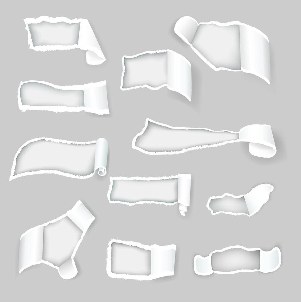 Torn paper rips with flap edges, paper rolled shreds vector