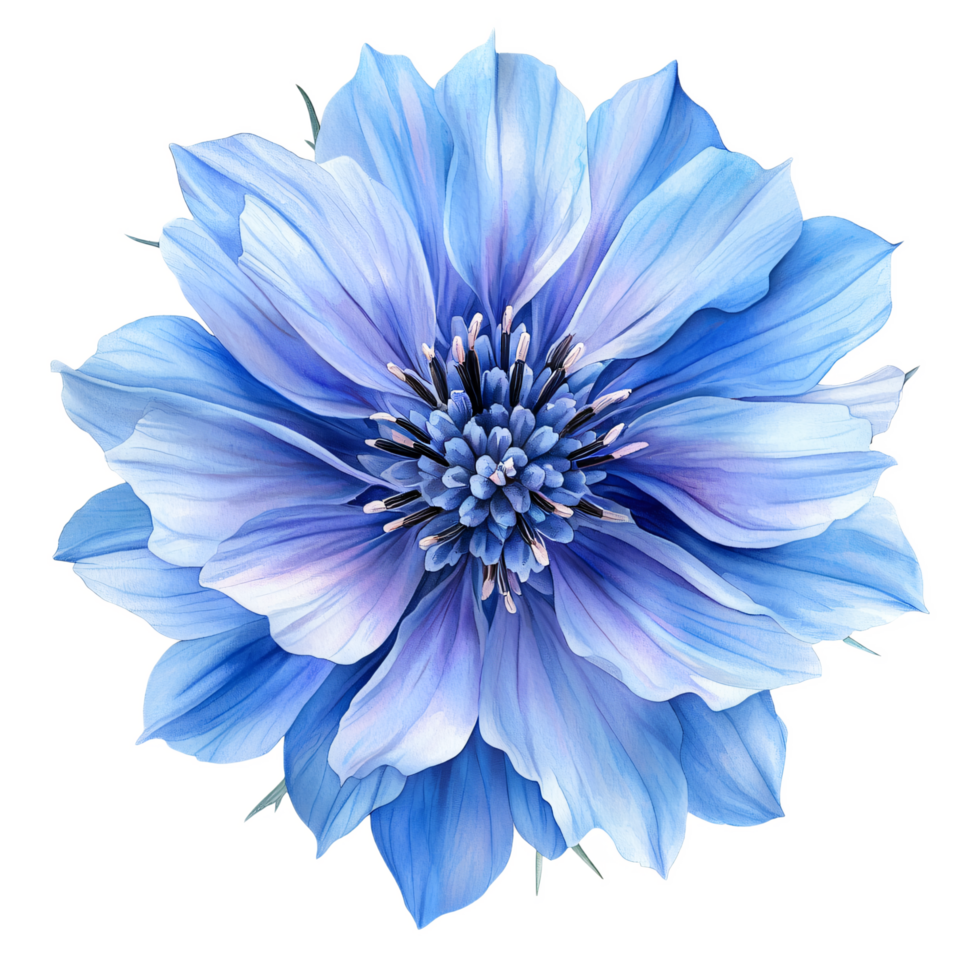 Blue Flower with Delicate Petals and Intricate Center png