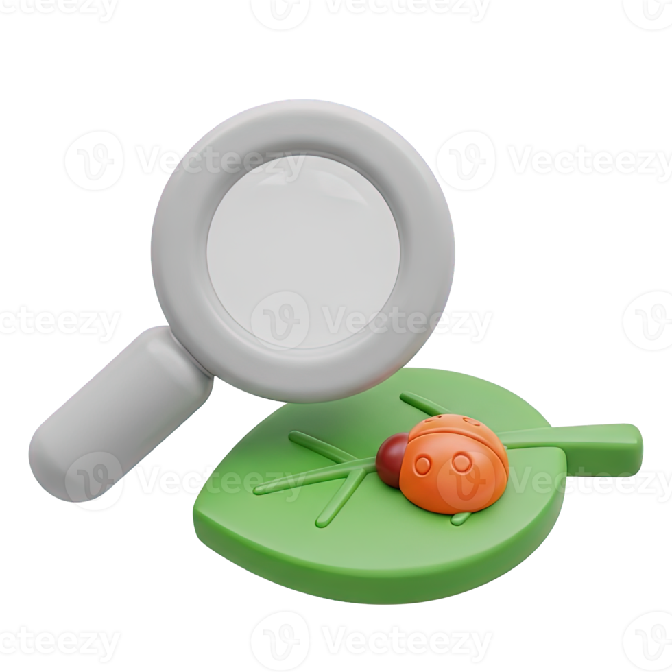 3D rendered icon of a magnifying glass over a leaf with a ladybug symbolizing nature study entomology pest inspection or botanical research png