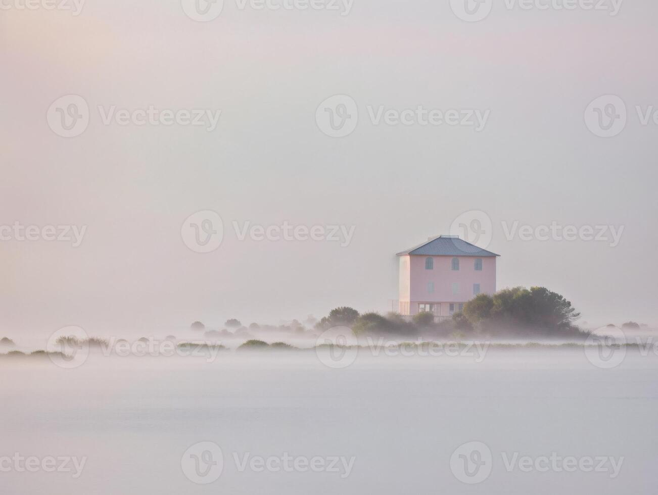 Minimalist Foggy Landscape with Bare Trees and pink building at Sunrise photo